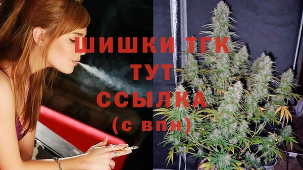 сатива Алзамай
