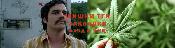 сатива Алзамай